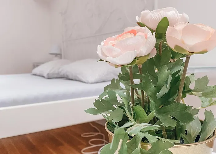 ホテル Blue Lotus 3*